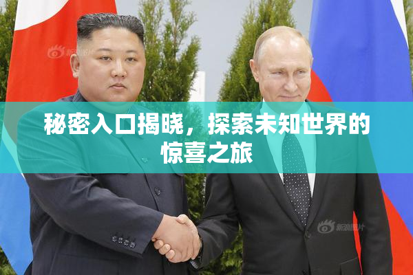 秘密入口揭晓，探索未知世界的惊喜之旅