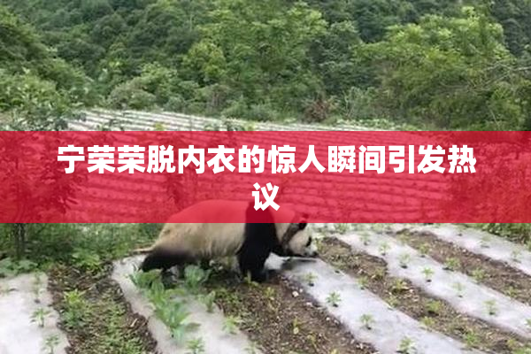 宁荣荣脱内衣的惊人瞬间引发热议