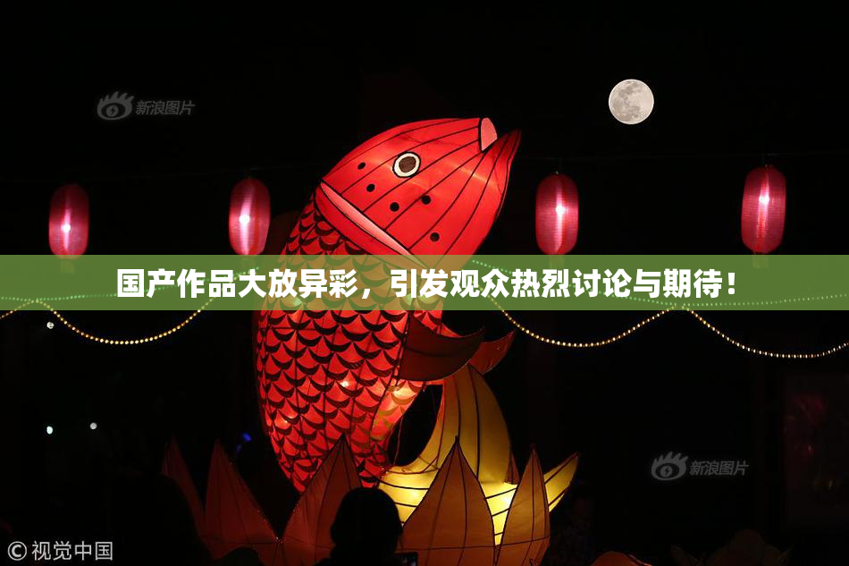 国产作品大放异彩，引发观众热烈讨论与期待！