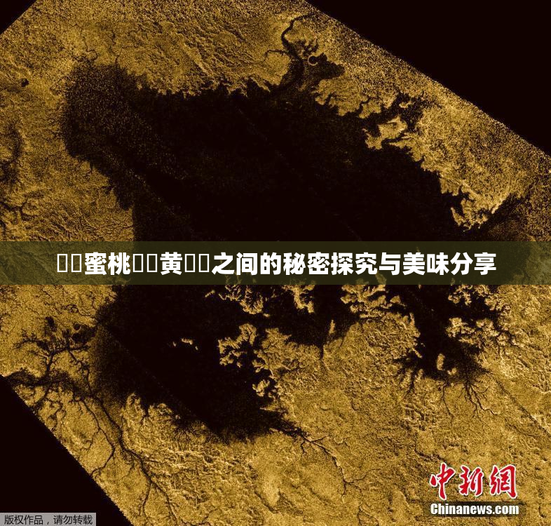 ❌‌蜜桃❌‌黄❌‌之间的秘密探究与美味分享