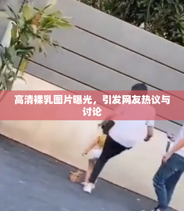 高清裸乳图片曝光，引发网友热议与讨论