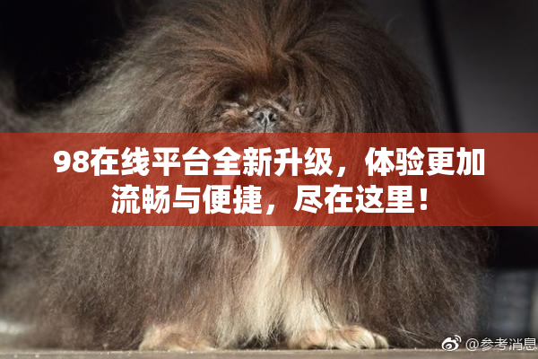 98在线平台全新升级，体验更加流畅与便捷，尽在这里！