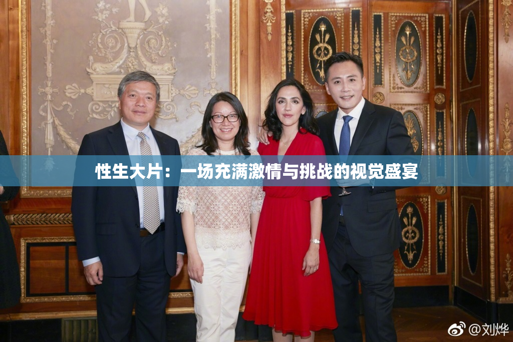 性生大片：一场充满激情与挑战的视觉盛宴
