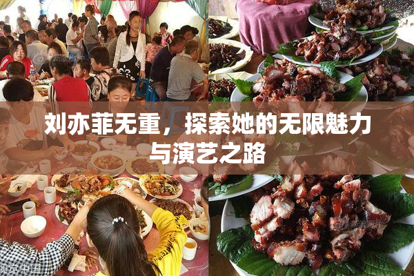 刘亦菲无重，探索她的无限魅力与演艺之路