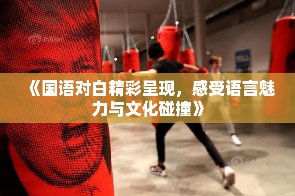 《国语对白精彩呈现，感受语言魅力与文化碰撞》
