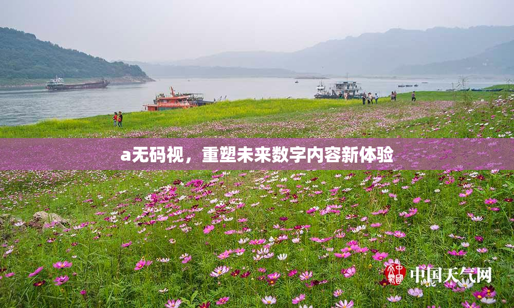 a无码视，重塑未来数字内容新体验