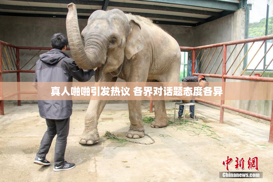 真人啪啪引发热议 各界对话题态度各异