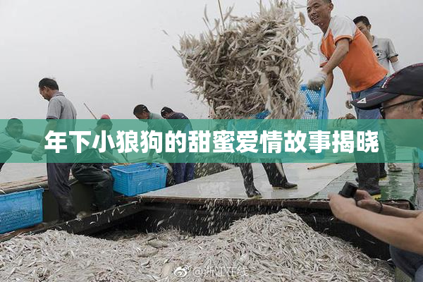 年下小狼狗的甜蜜爱情故事揭晓