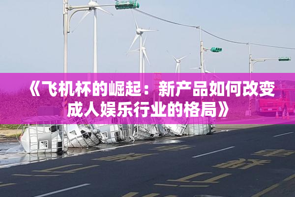 《飞机杯的崛起：新产品如何改变成人娱乐行业的格局》