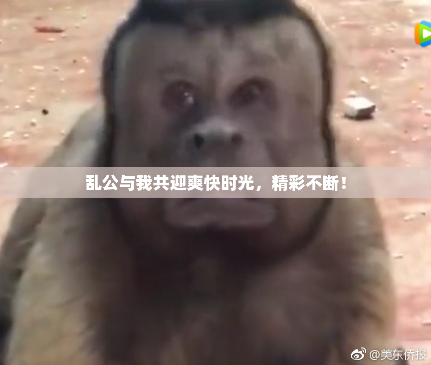 乱公与我共迎爽快时光，精彩不断！