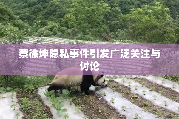 蔡徐坤隐私事件引发广泛关注与讨论
