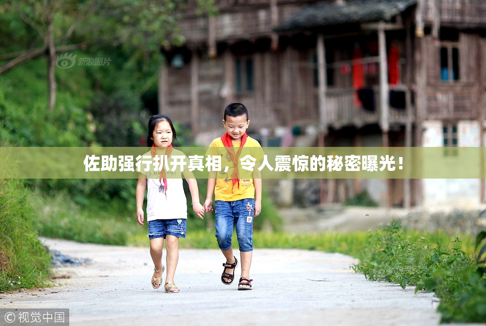 佐助强行扒开真相，令人震惊的秘密曝光！