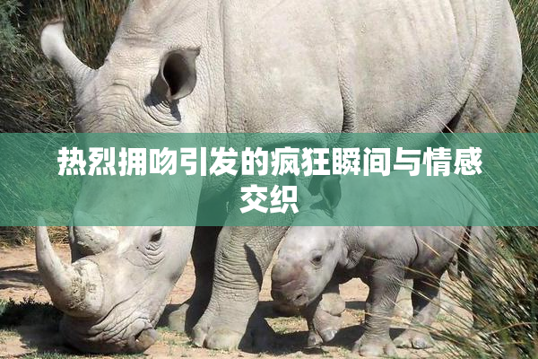 热烈拥吻引发的疯狂瞬间与情感交织