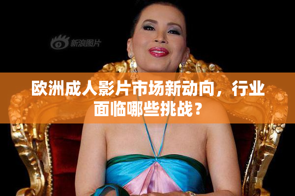 欧洲成人影片市场新动向，行业面临哪些挑战？