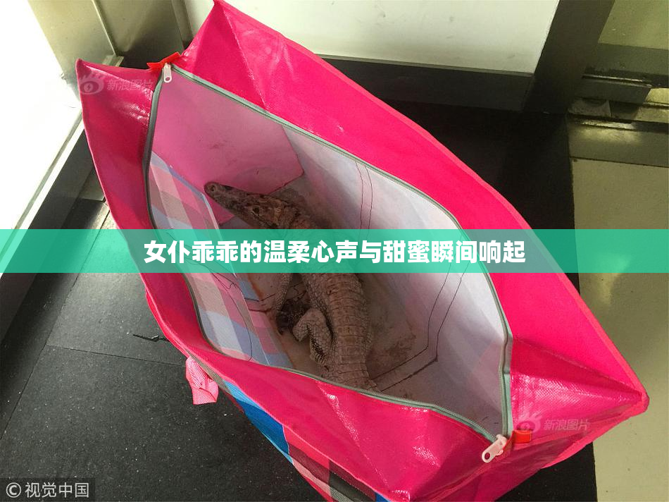 女仆乖乖的温柔心声与甜蜜瞬间响起
