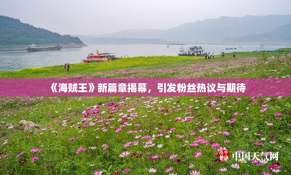 《海贼王》新篇章揭幕，引发粉丝热议与期待