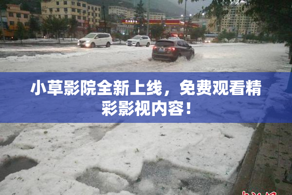 小草影院全新上线，免费观看精彩影视内容！