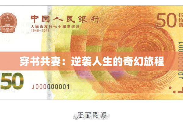 穿书共妻：逆袭人生的奇幻旅程