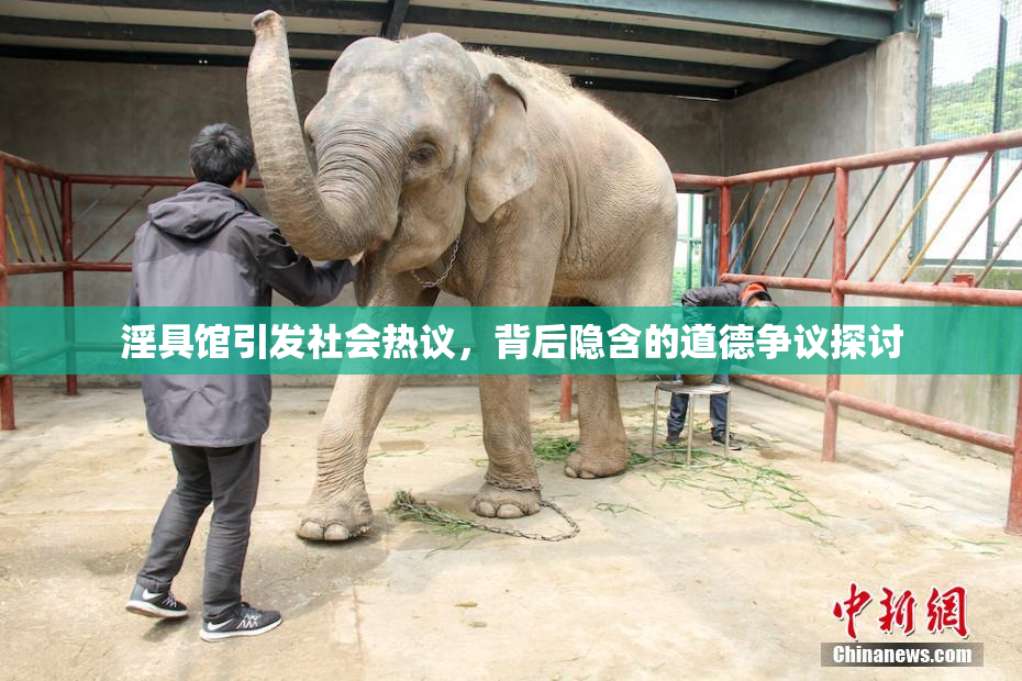 淫具馆引发社会热议，背后隐含的道德争议探讨