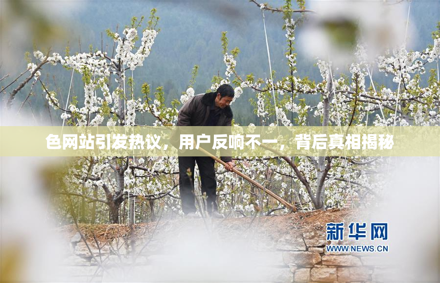 色网站引发热议，用户反响不一，背后真相揭秘