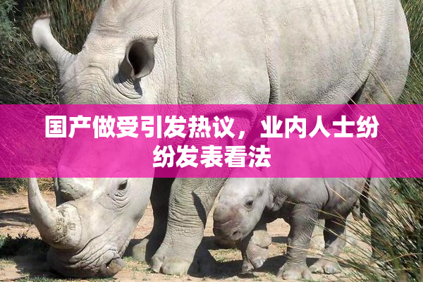国产做受引发热议，业内人士纷纷发表看法