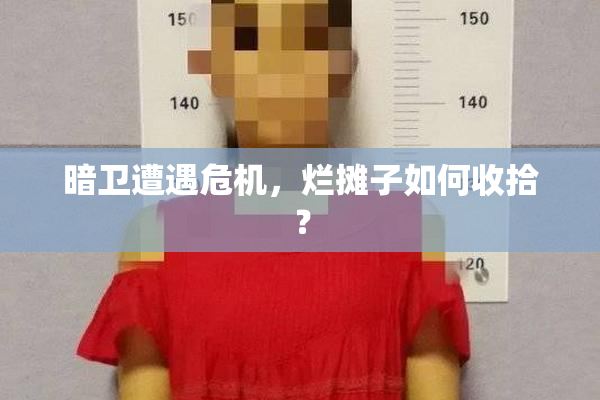 暗卫遭遇危机，烂摊子如何收拾？