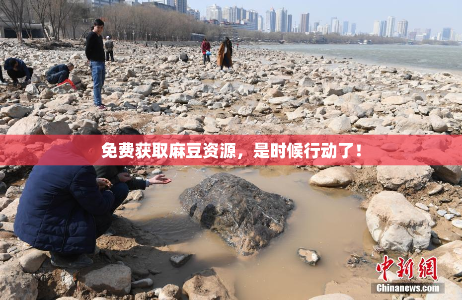 免费获取麻豆资源，是时候行动了！