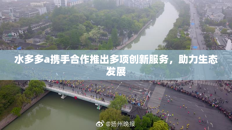 水多多a携手合作推出多项创新服务，助力生态发展
