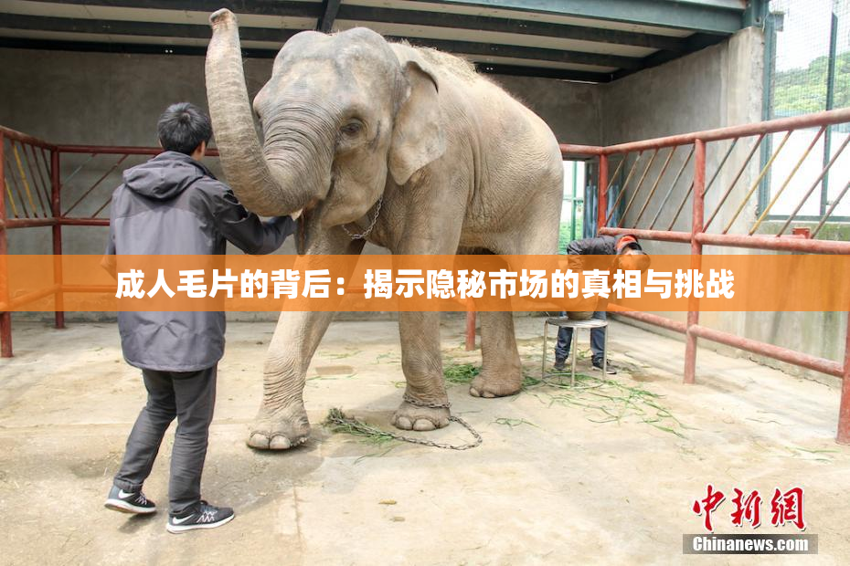 成人毛片的背后：揭示隐秘市场的真相与挑战