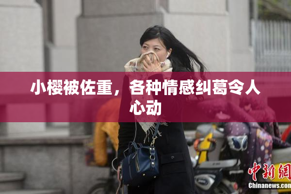 小樱被佐重，各种情感纠葛令人心动