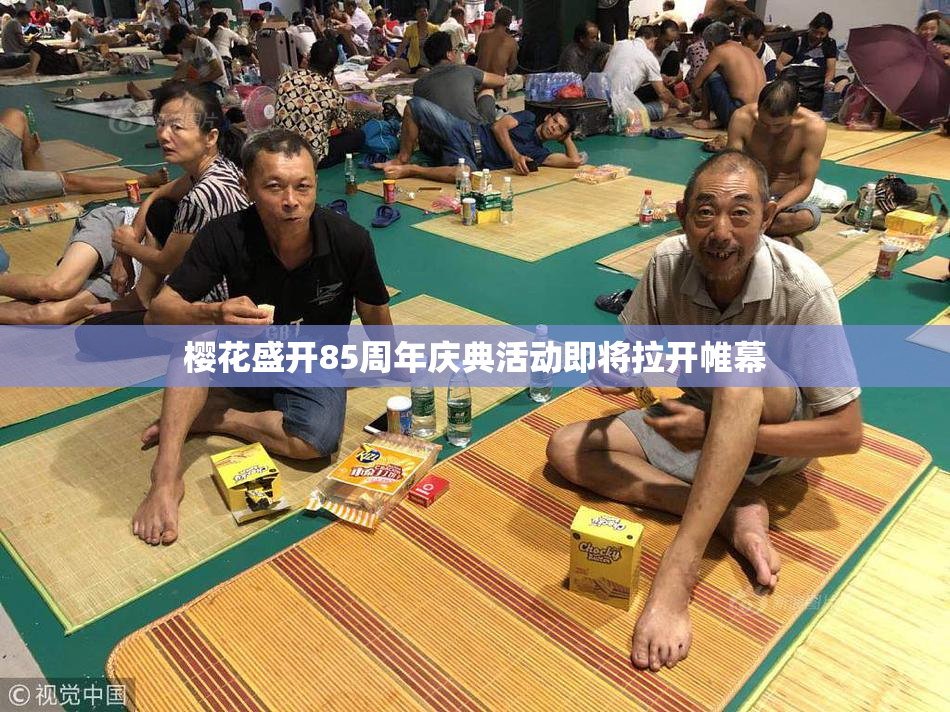 樱花盛开85周年庆典活动即将拉开帷幕
