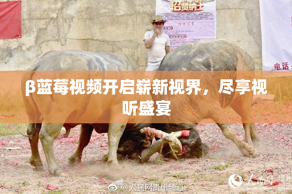 β蓝莓视频开启崭新视界，尽享视听盛宴