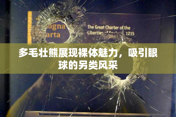 多毛壮熊展现裸体魅力，吸引眼球的另类风采
