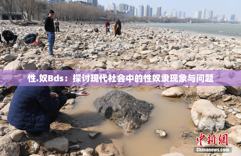 性.奴Bds：探讨现代社会中的性奴隶现象与问题