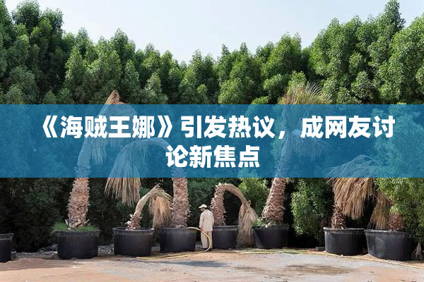 《海贼王娜》引发热议，成网友讨论新焦点