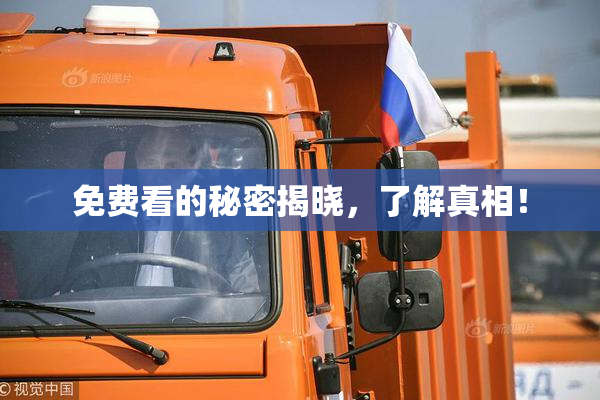 免费看的秘密揭晓，了解真相！