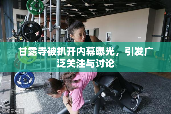 甘露寺被扒开内幕曝光，引发广泛关注与讨论