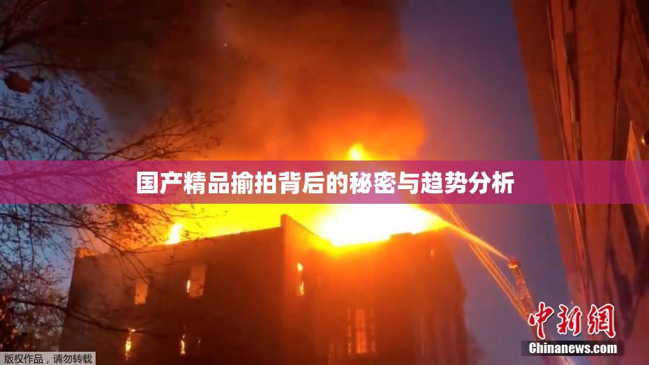 国产精品揄拍背后的秘密与趋势分析