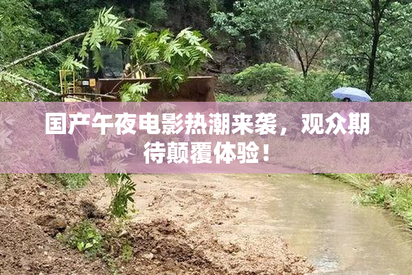 国产午夜电影热潮来袭，观众期待颠覆体验！