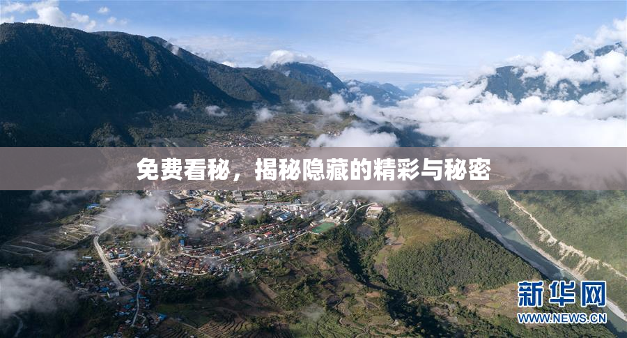 免费看秘，揭秘隐藏的精彩与秘密