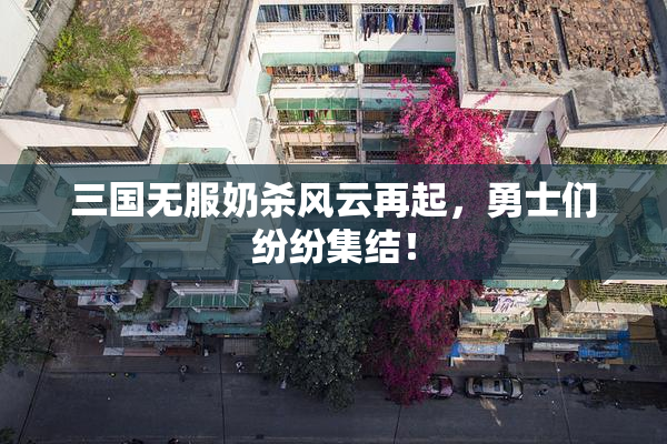 三国无服奶杀风云再起，勇士们纷纷集结！