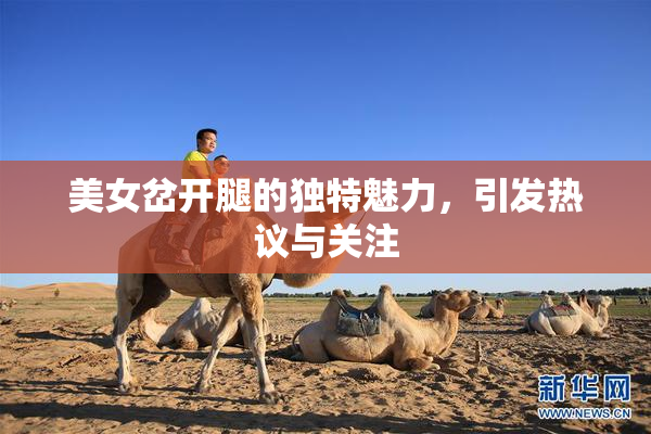 美女岔开腿的独特魅力，引发热议与关注