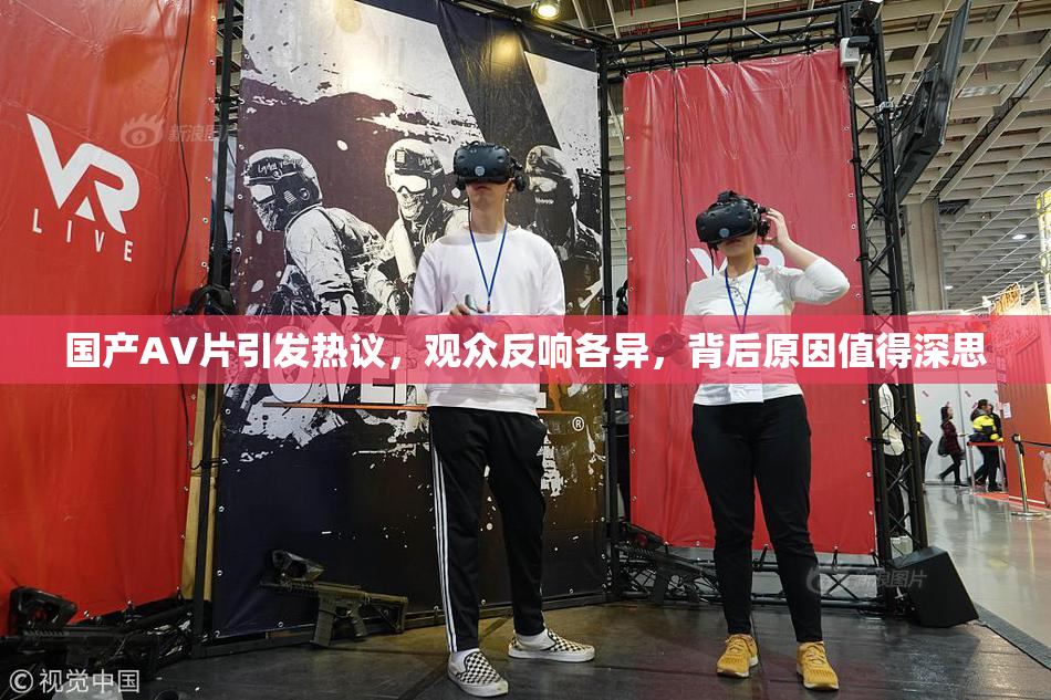 国产AV片引发热议，观众反响各异，背后原因值得深思