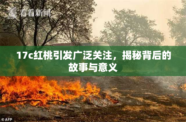 17c红桃引发广泛关注，揭秘背后的故事与意义
