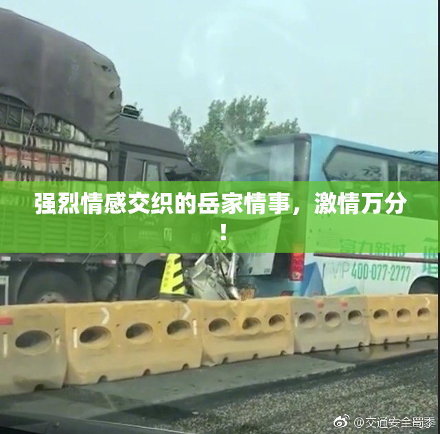 强烈情感交织的岳家情事，激情万分！