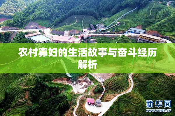 农村寡妇的生活故事与奋斗经历解析