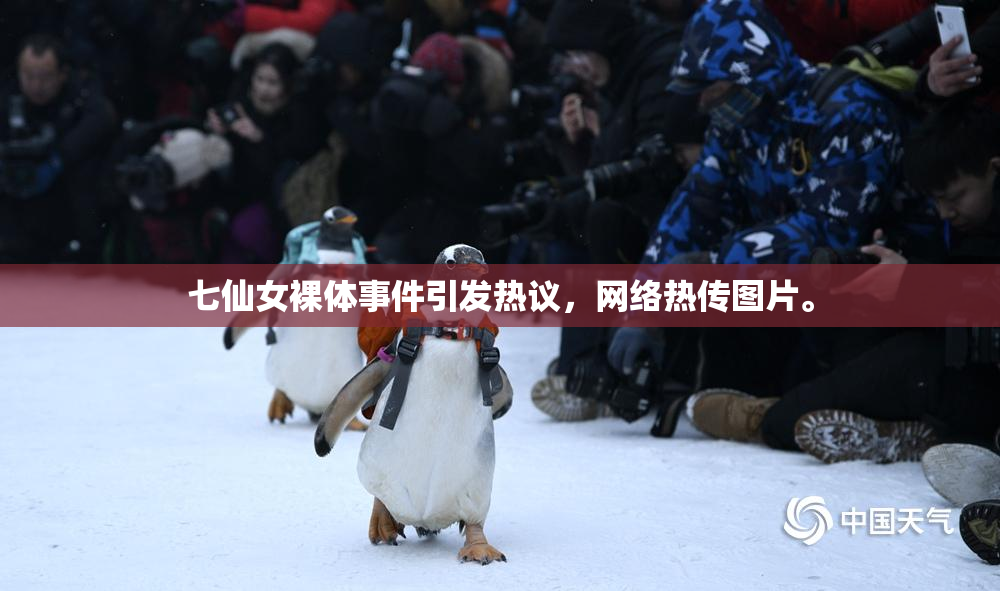 七仙女裸体事件引发热议，网络热传图片。