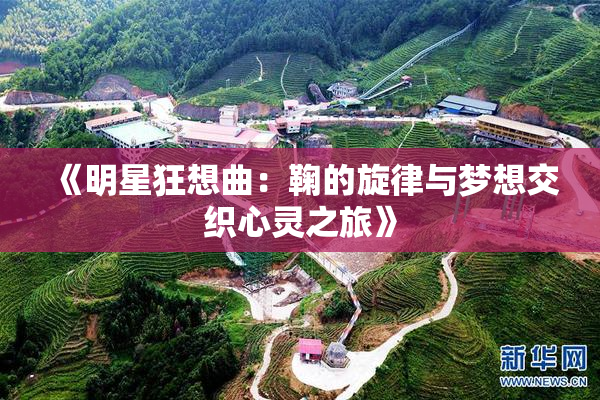 《明星狂想曲：鞠的旋律与梦想交织心灵之旅》