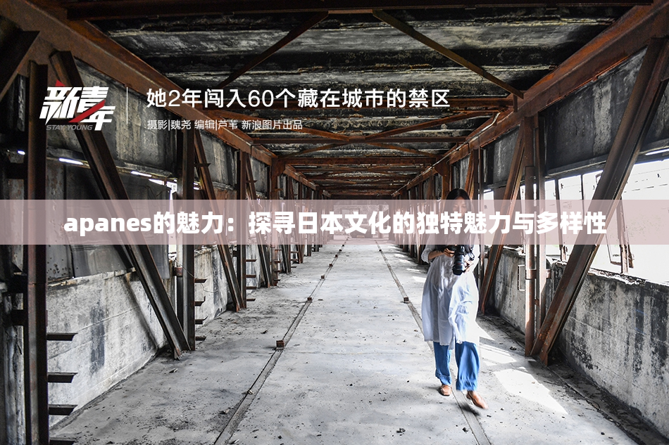 apanes的魅力：探寻日本文化的独特魅力与多样性