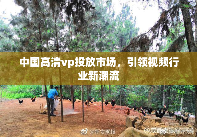 中国高清vp投放市场，引领视频行业新潮流